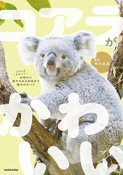 『コアラがかわいい　生態から癒やされる写真まで魅力のすべて』表紙画像